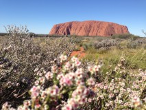 Uluru